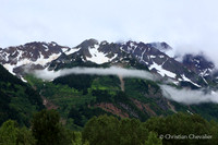 Alaska wild