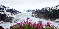 Alaska wild