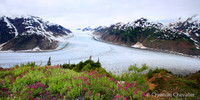 Alaska wild