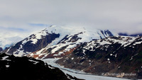 Alaska wild