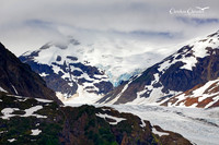 Alaska wild