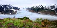 Alaska wild