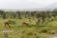 Afrique du Sud
