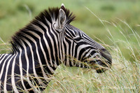 Afrique du Sud