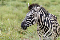 Afrique du Sud