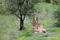 Afrique du Sud