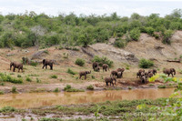 Afrique du Sud