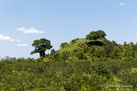 Afrique du Sud