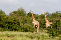 Afrique du Sud