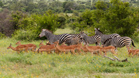 Afrique du Sud