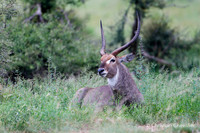 Afrique du Sud