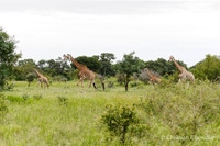 Afrique du Sud
