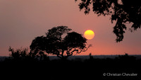 Afrique du Sud