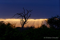 Afrique du Sud