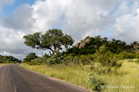 Afrique du Sud