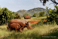 Afrique du Sud